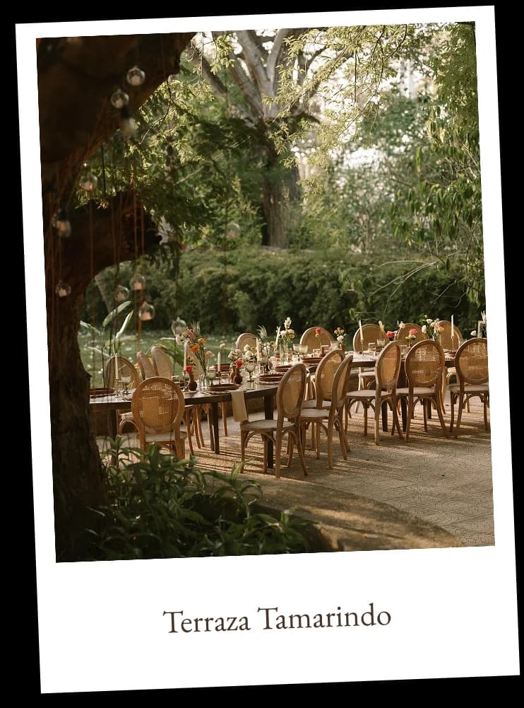 Terraza Tamarindo