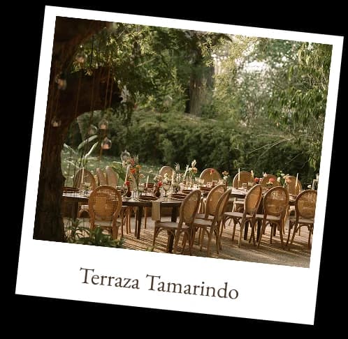 Terraza Tamarindo