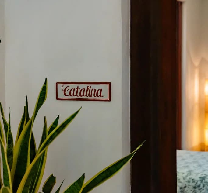 Vista de la Suite Catalina