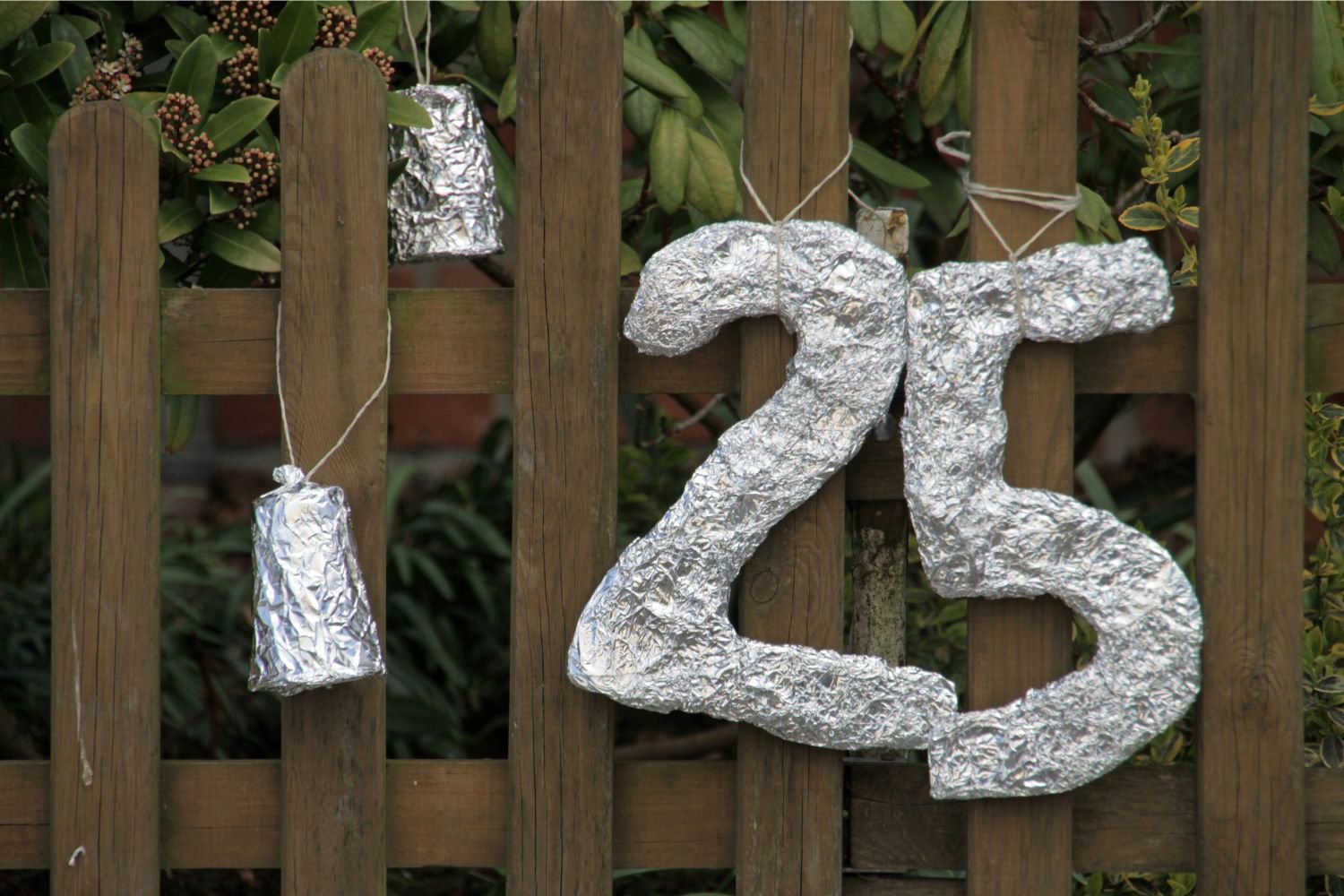 bodas de plata